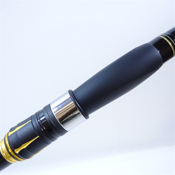 ２１アオリスタ５００